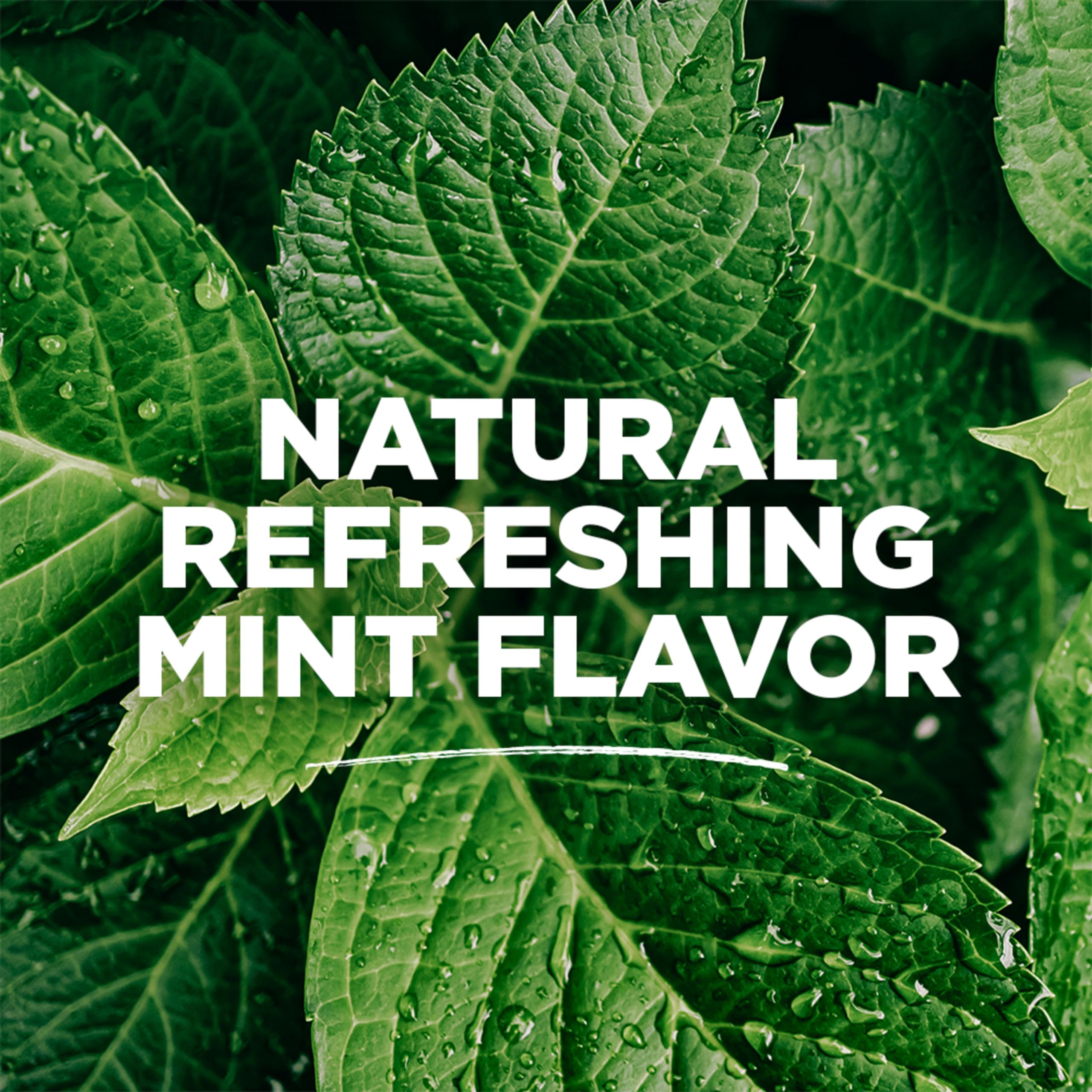 Tom's of Maine Sea Salt Natural Alcohol-Free Mouthwash, Refreshing Mint, 16 Fl Oz (Pack of 6)(Packaging May Vary)