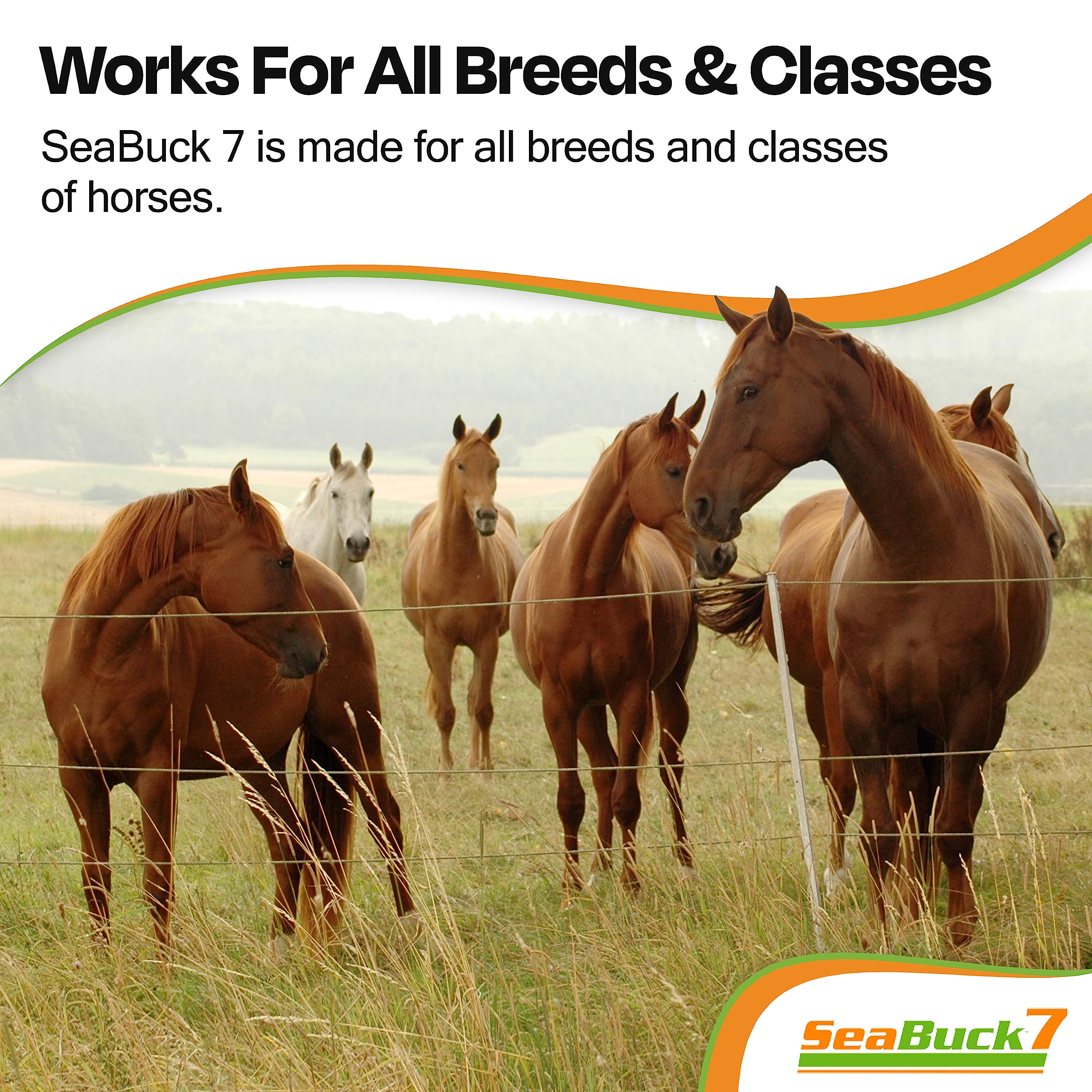SeaBuck 7 Equine Sea Buckthorn Supplement for Horses, 1 Gallon
