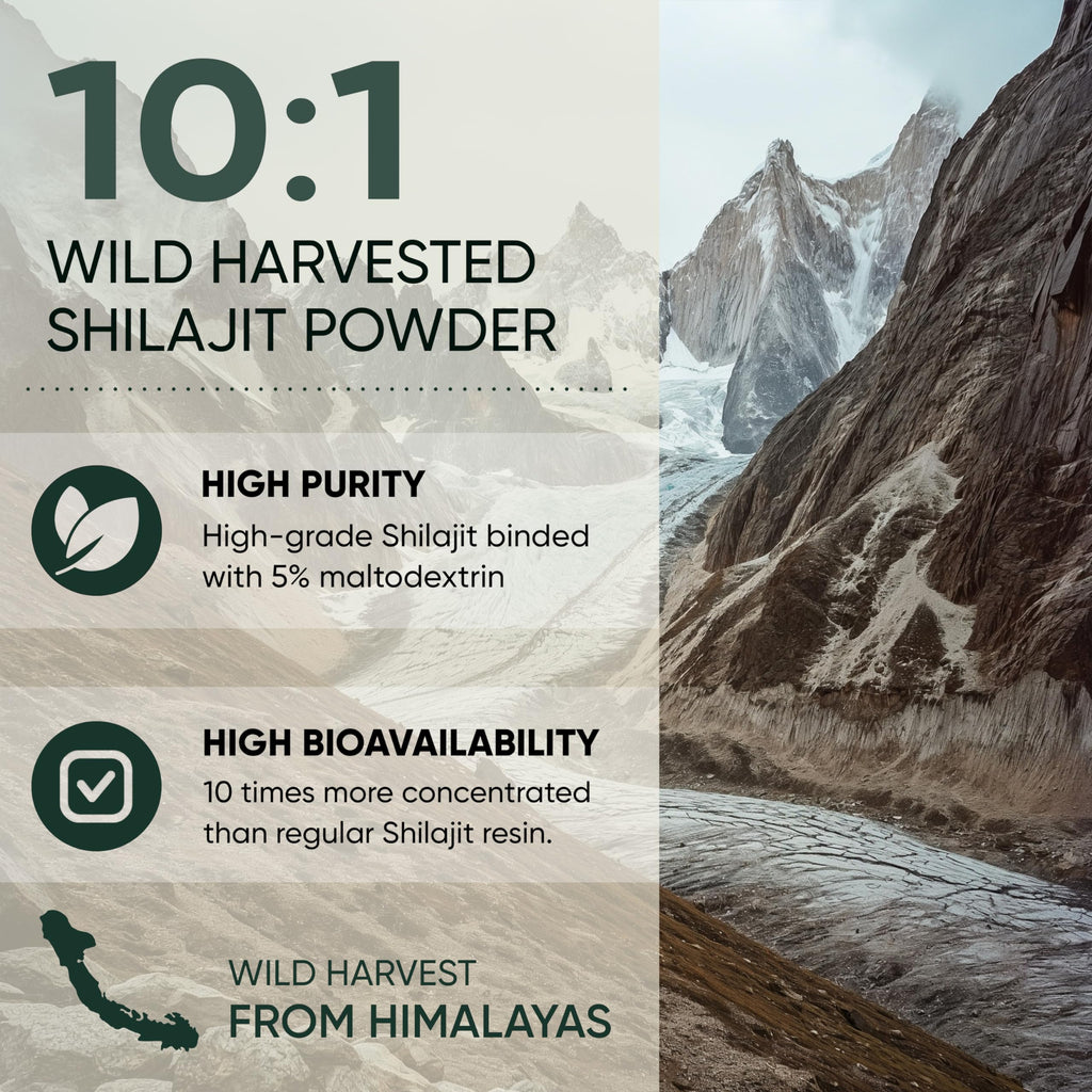 Shilajit Powder for Men 10:1 Extract 5 Ounce Bag 282 Servings Fulvic Acid Powder Extract, Immune Support Energy Supplement, Shilajit for Men Mineral Compound Raw Shilajit Contains Maltodextrin