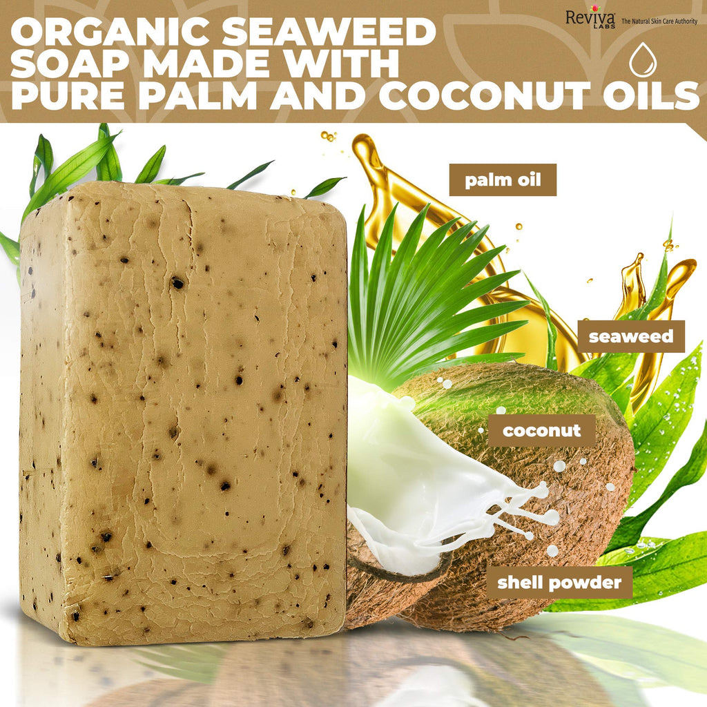 Reviva Seaweed Soap - 6 Pack - Organic Seaweed Face Scrub and Exfoliating Body Scrub Soap Bar - 4.5 oz. Vegetable Base Natural Bar Soap and Seaweed Bath Detox Soap Made in the USA