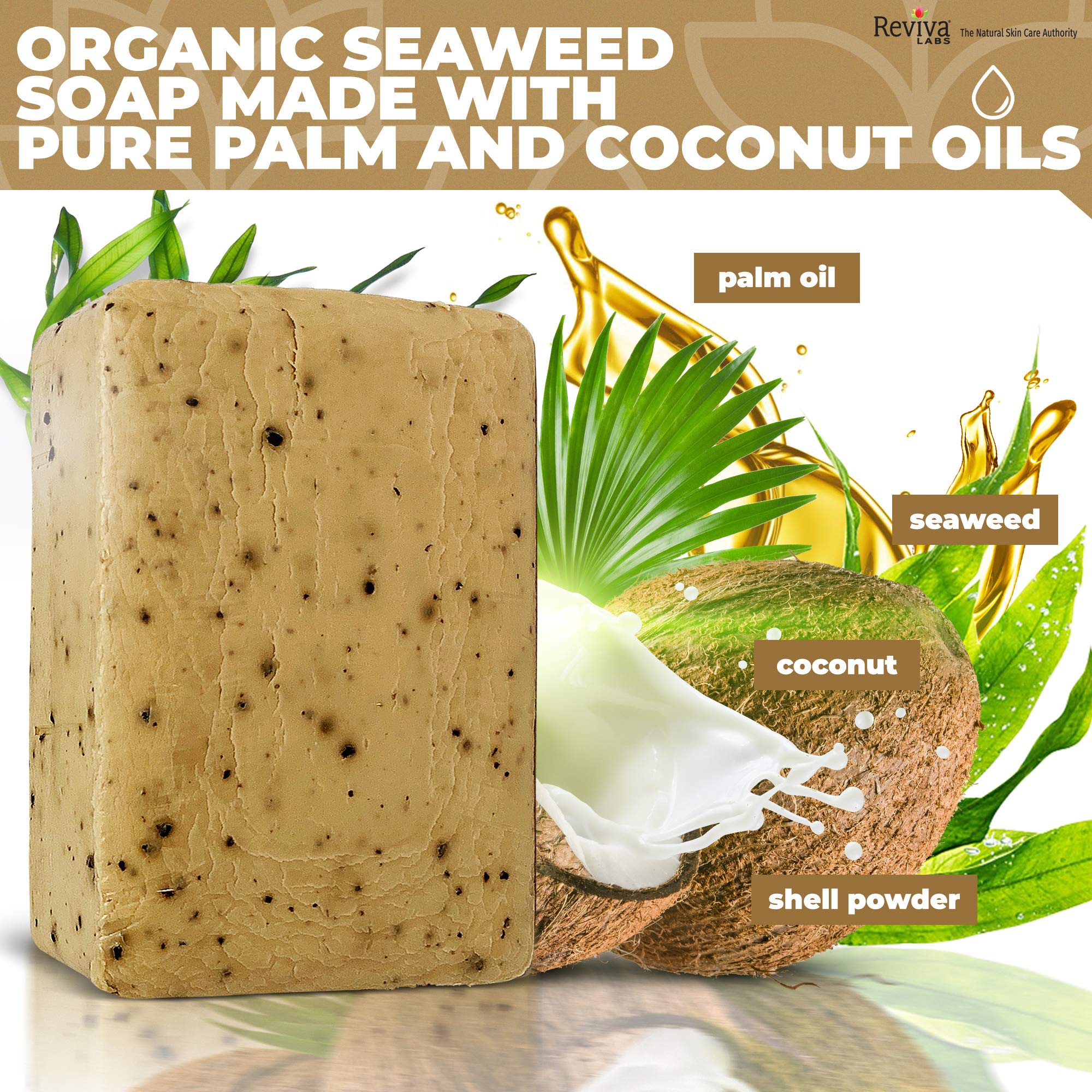 Reviva Seaweed Soap - 6 Pack - Organic Seaweed Face Scrub and Exfoliating Body Scrub Soap Bar - 4.5 oz. Vegetable Base Natural Bar Soap and Seaweed Bath Detox Soap Made in the USA
