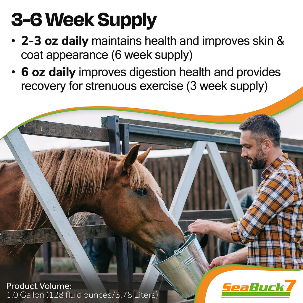 SeaBuck 7 Equine Sea Buckthorn Supplement for Horses, 1 Gallon
