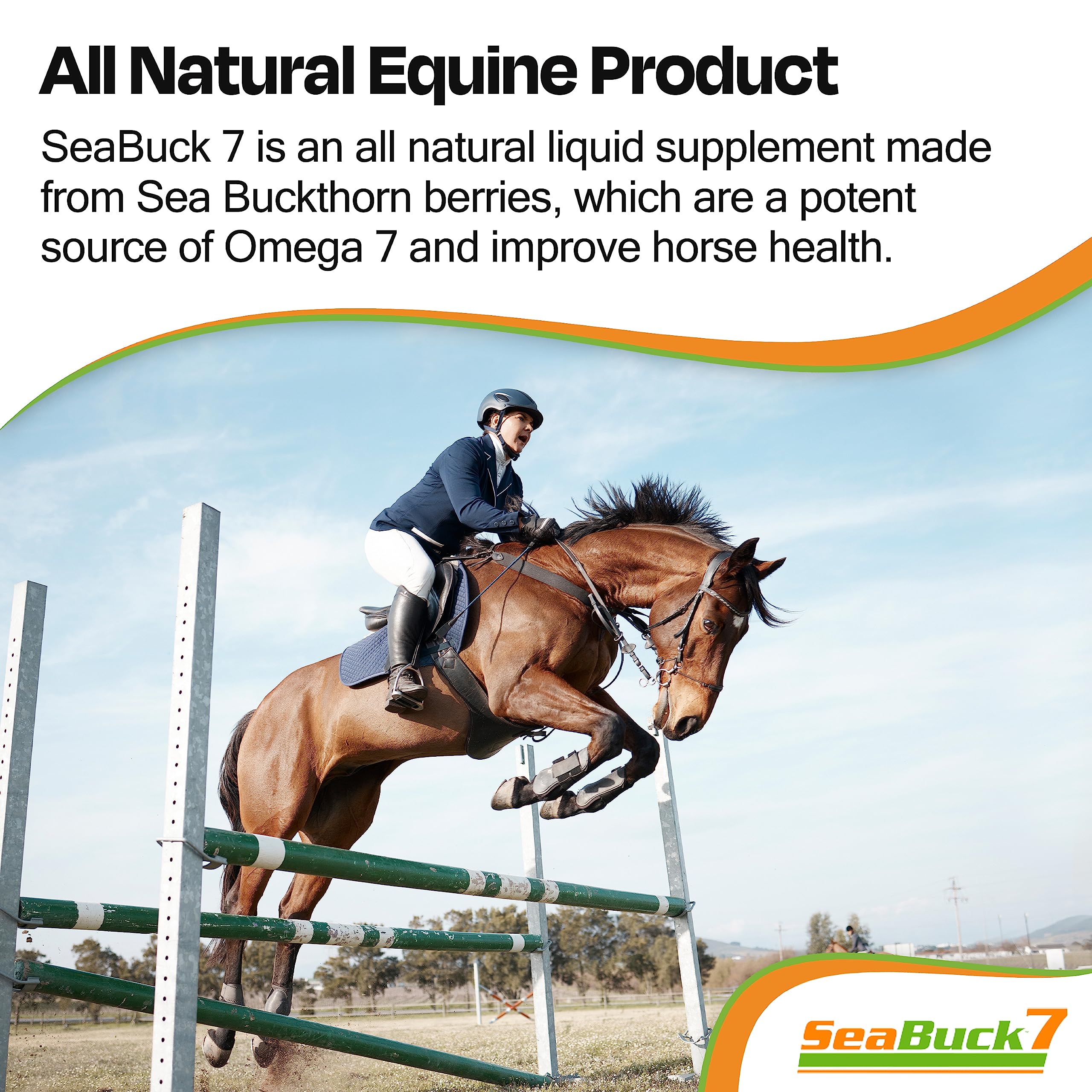SeaBuck 7 Equine Sea Buckthorn Supplement for Horses, 1 Gallon
