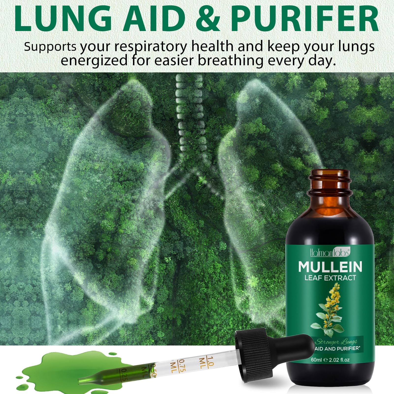 caqorzo Mullein Drops, Mullein Leaf Extract for Lung Cleanse and Respiratory Support,Mullein Herbal Supplements(2.02fl.oz)