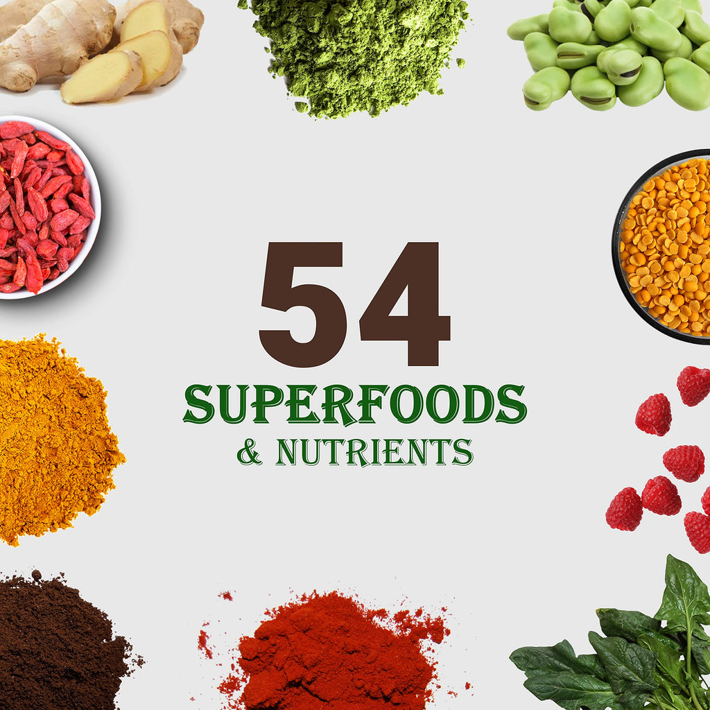 UpNourish Chocolate Vegan Protein Powder 54 Superfoods Powder,1.5 Billion CFU Probiotics 21g Plant Based Protein,No Sugar No Dairy No GMO Dairy Free,Meal Replacement Shake Keto-Friendly Low-Carb Diet,15 Servings