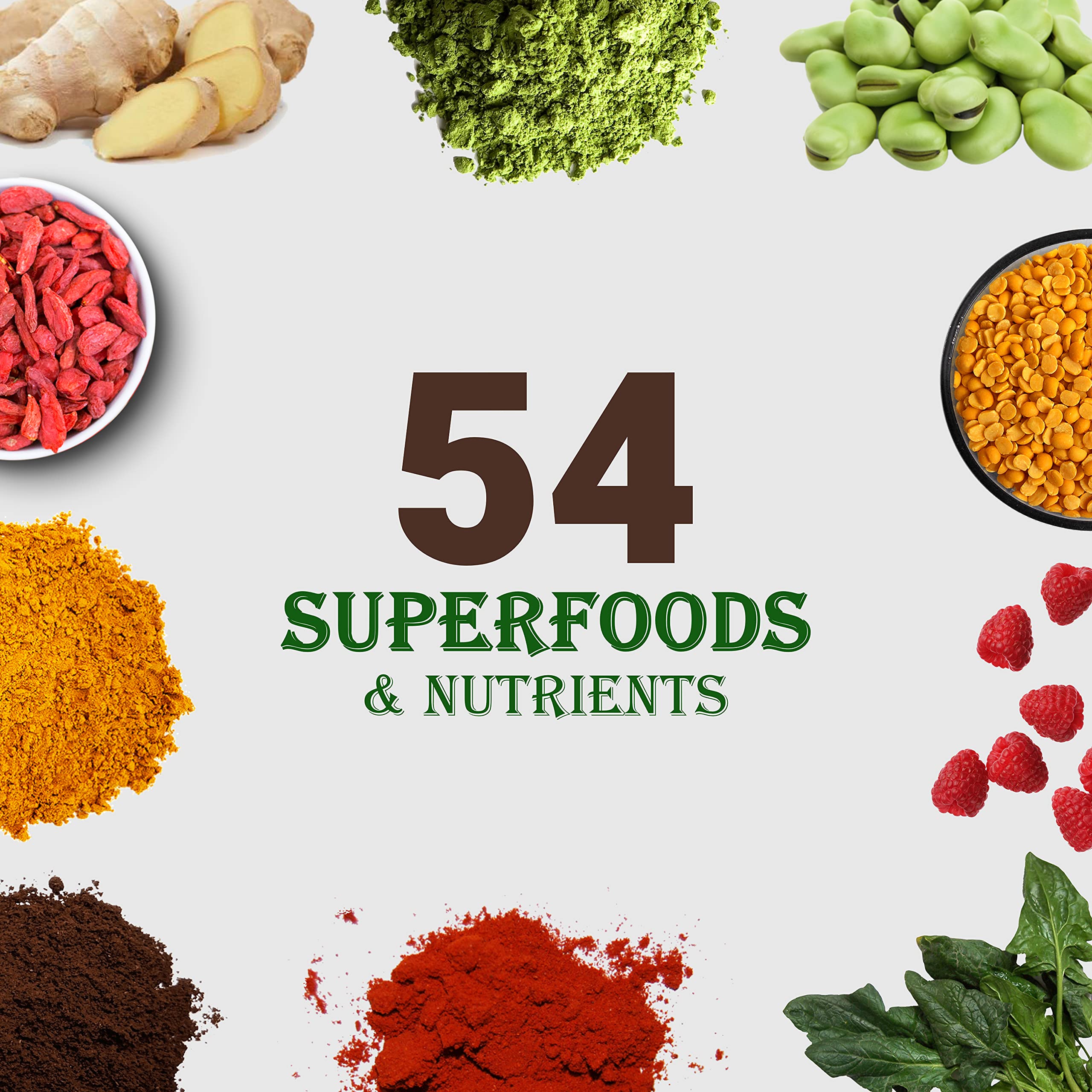 UpNourish Chocolate Vegan Protein Powder 54 Superfoods Powder,1.5 Billion CFU Probiotics 21g Plant Based Protein,No Sugar No Dairy No GMO Dairy Free,Meal Replacement Shake Keto-Friendly Low-Carb Diet,15 Servings