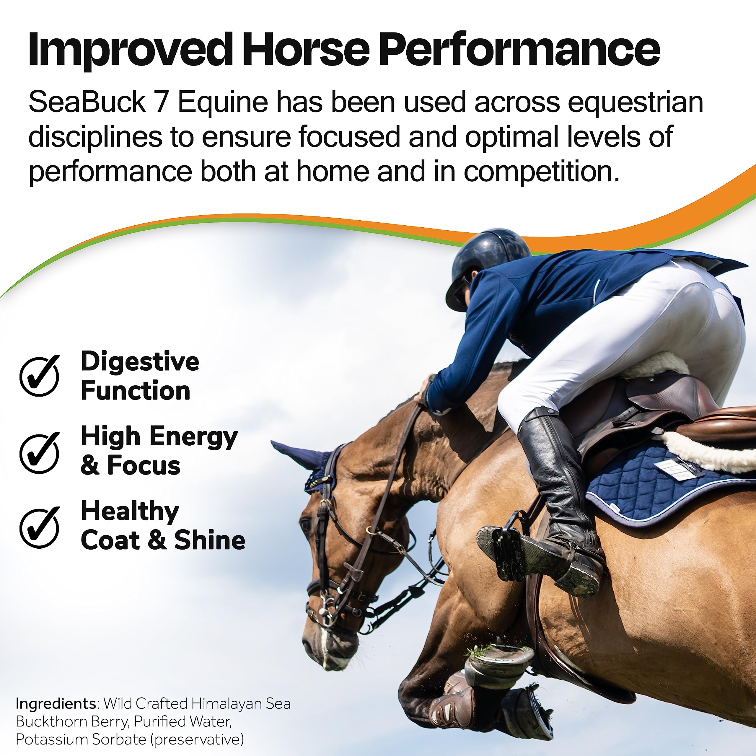 SeaBuck 7 Equine Sea Buckthorn Supplement for Horses, 1 Gallon