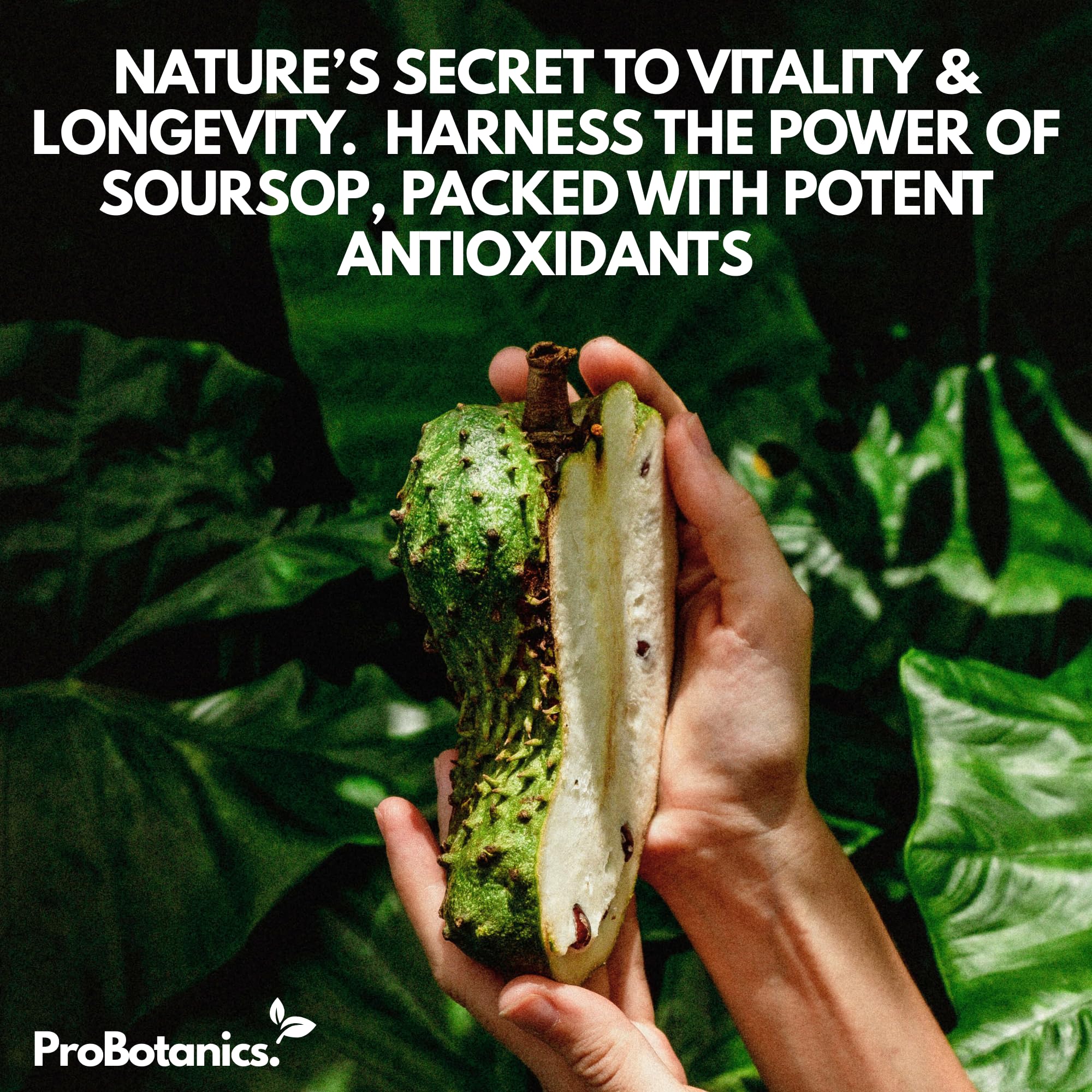 ProBotanics Organic Soursop for Cell Support & Regeneration | High Strength 450mg 30:1 Extract Equiv. to 13500mg Extract Per Serving | Powerful Antioxidant and Immune Support - 60 Capsules