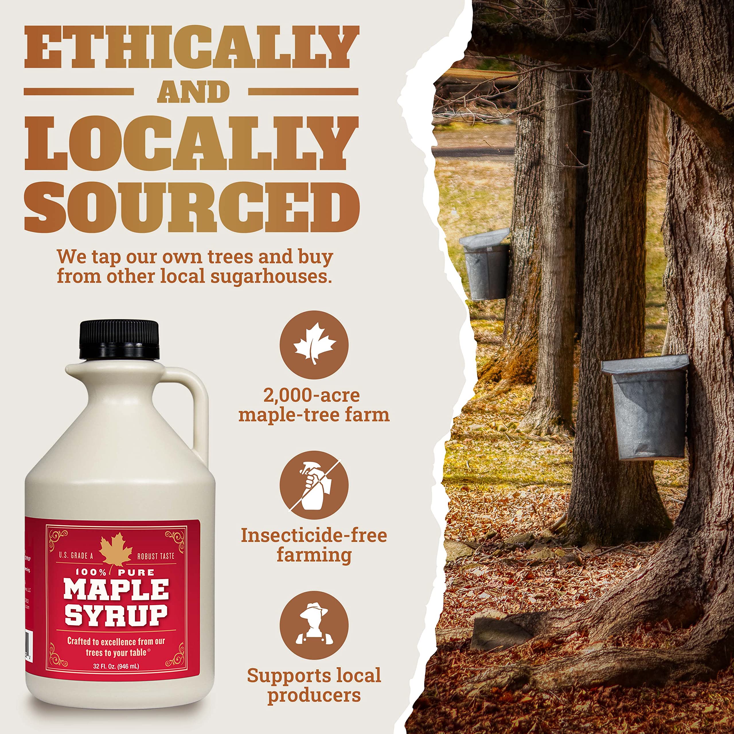 Grade B Maple Syrup 32 Oz Jug – 100% Pure Maple Syrup (Now Grade A Dark) Bold, Robust Flavor – Artisan Maple Syrup Gift – USA-Made Breakfast Syrups & Toppings by Lincoln County Reserve
