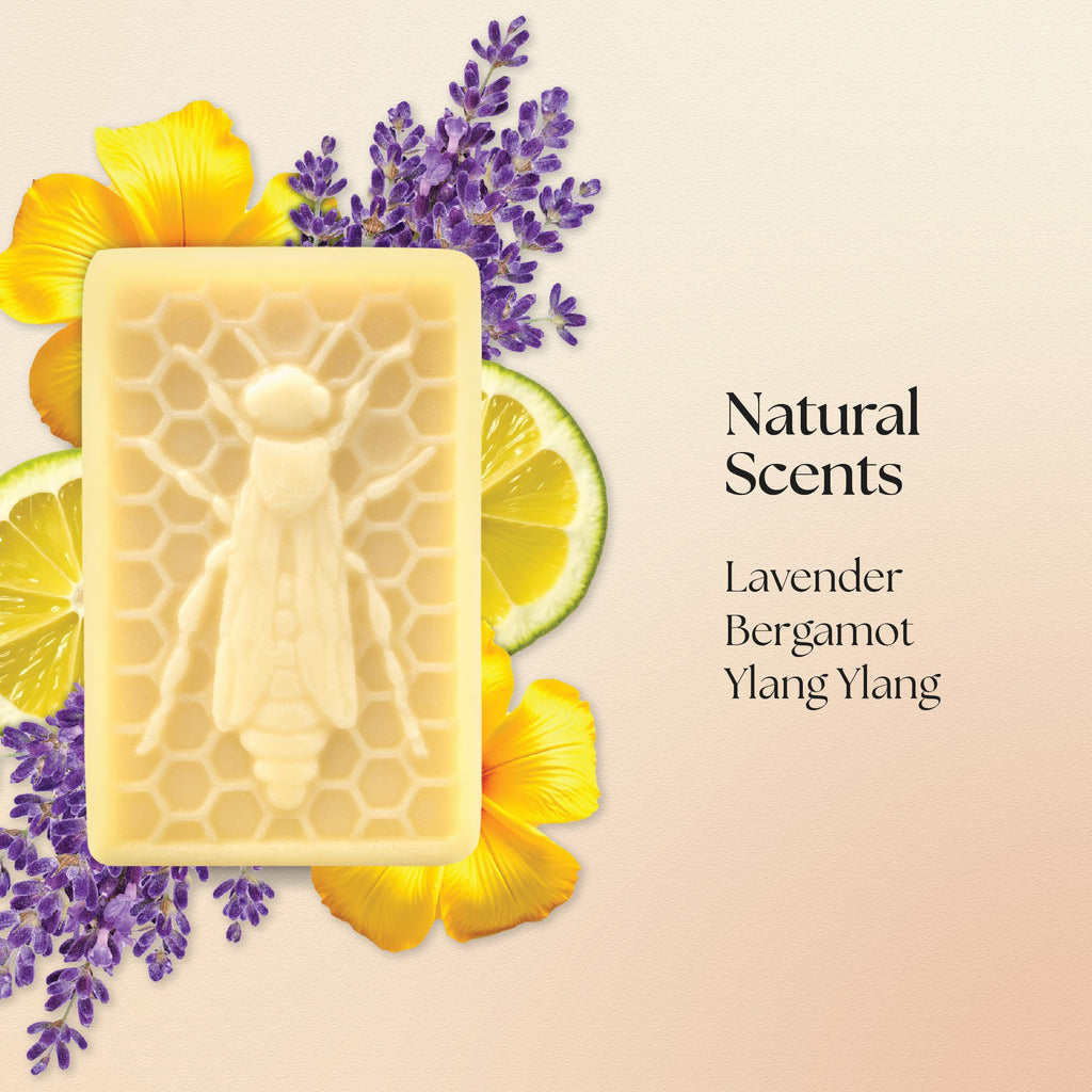 Moisturising Solid Hand Cream Bars | For Dry & Sensitive Hands | Gardeners & Queen Bee Scent | Natural Hand Cream | No Sticky Residue | Luxury Gift | Cruelty Free | Edinburgh Skincare Company