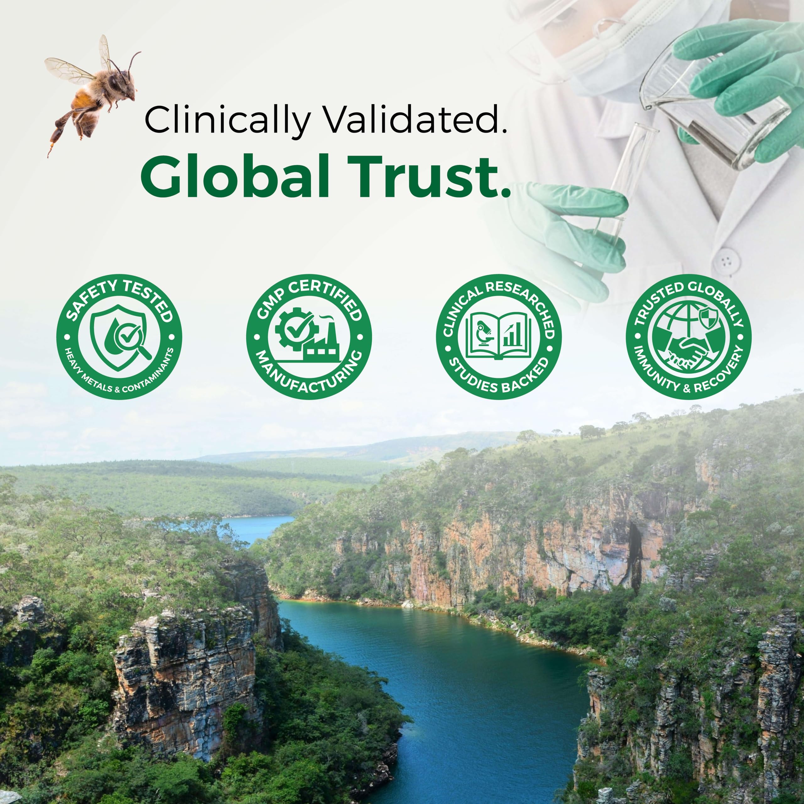 LABO Nutrition Brazilian Green Propolis Ultimate 3-Pack (60 Capsules Per Box) Bee Propolis 400mg Extract for Immune & Antioxidant Support, Sourced from Brazil, 180 Total Vegan Capsules, Made in Japan